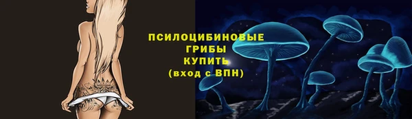 ГАЛЛЮЦИНОГЕННЫЕ ГРИБЫ Арсеньев