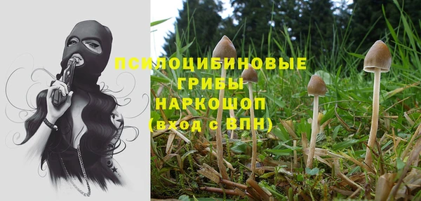 ГАЛЛЮЦИНОГЕННЫЕ ГРИБЫ Арсеньев